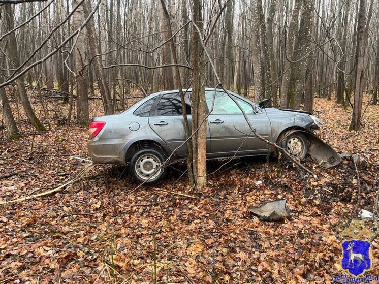 Водитель «Гранты» сбил лося и опрокинулся в Самарской области утром 1 ноября
