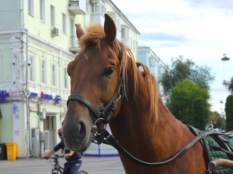 5 ноября 2025 года: какой сегодня праздник в России и мире