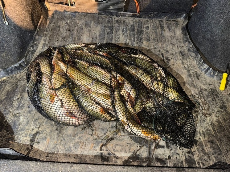 В Абзелиловском районе Башкирии браконьеры поймали 54 щуки и ротана