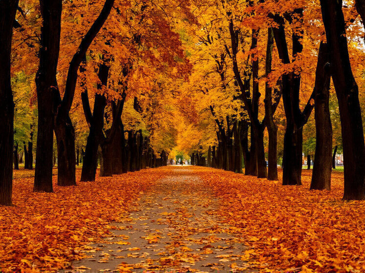 Прогноз погоды для Ярославской области на праздничные дни