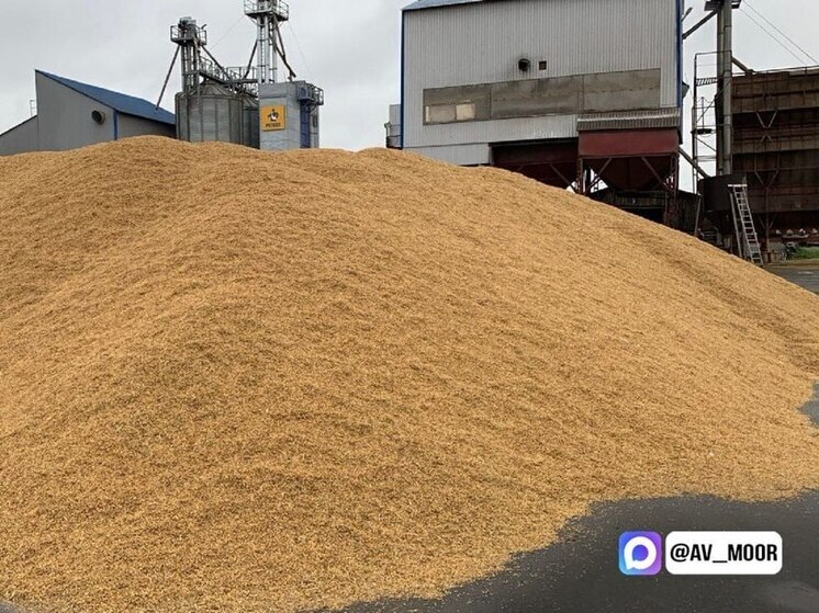 Губернатор поздравил тюменских аграриев с завершением уборочной кампании