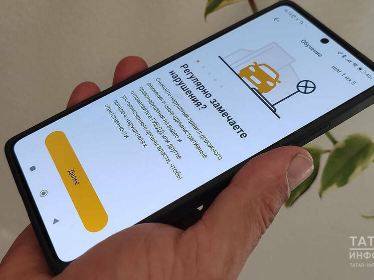 Жительница Казани лишилась денег при попытке купить котенка через интернет