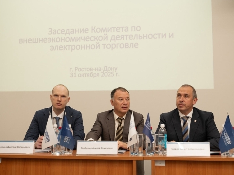 Дмитрий Кравцов: со стороны «Деловой России» будет создан ряд программ, который позволит не только развивать бизнес, но и заявлять о себе