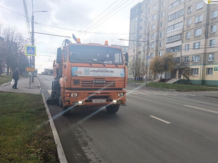 1 ноября в Туле проходит масштабная уборка городских территорий