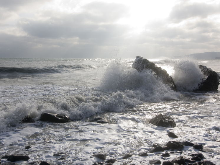 Грозит толчками: на дне Тихого океана идет развал тектонической плиты Эксплорер