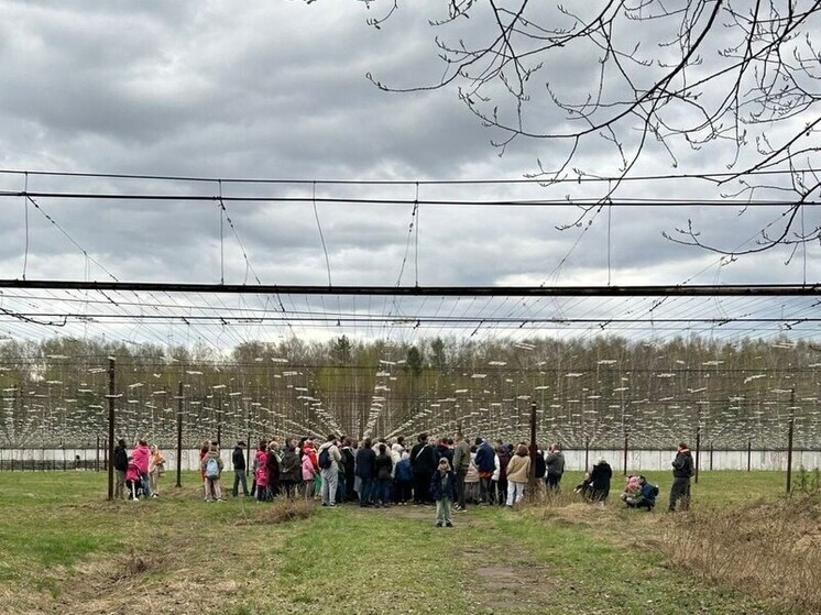 На конференции в Пущино обсудили, есть ли на Марсе жизнь