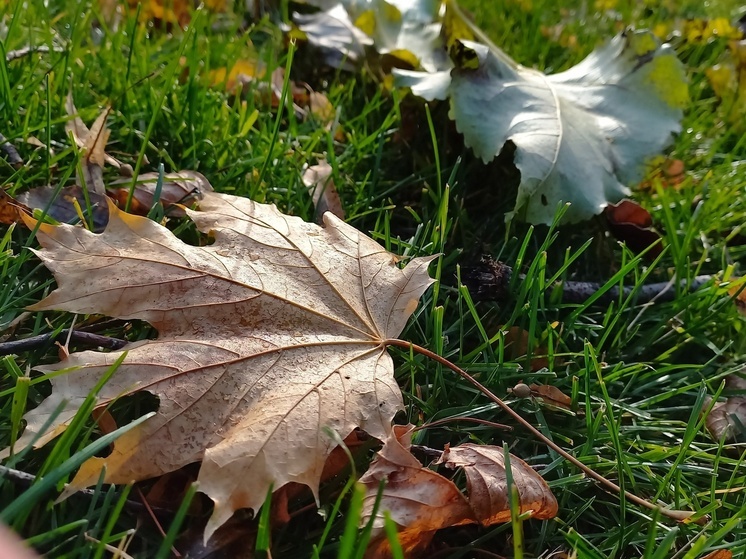 Осеннее обострение: почему в холодный сезон болят суставы и мышцы