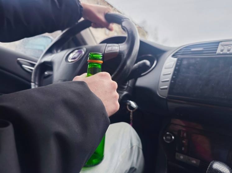 Профилактические рейды проведет ГИБДД в ноябрьские выходные на Вологодчине