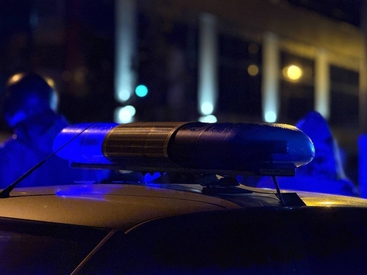 Донское ГИБДД рассказало о графике работы МРЭО в начале ноября