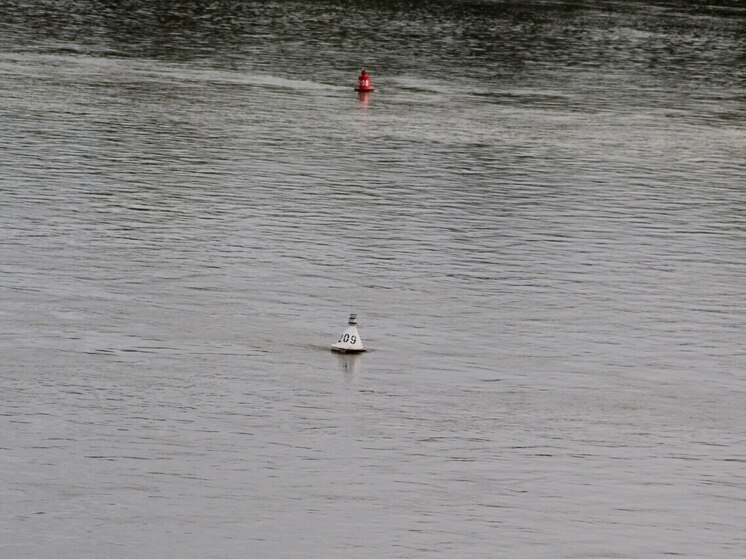 Тело рыбака достали из реки Ануй в Алтайском крае