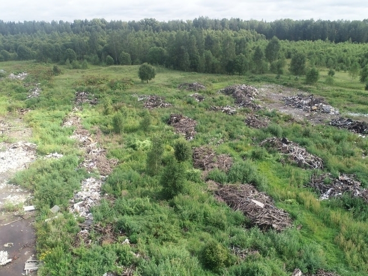Под Тверью ликвидировали свалку в 16 тысяч квадратных метров
