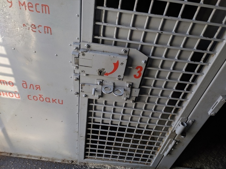 Житель Череповца совершил разбой ради двух бутылок вина