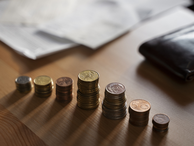 На Запорожье сотрудники ФССП взыскали 600 млн рублей налоговой задолженности