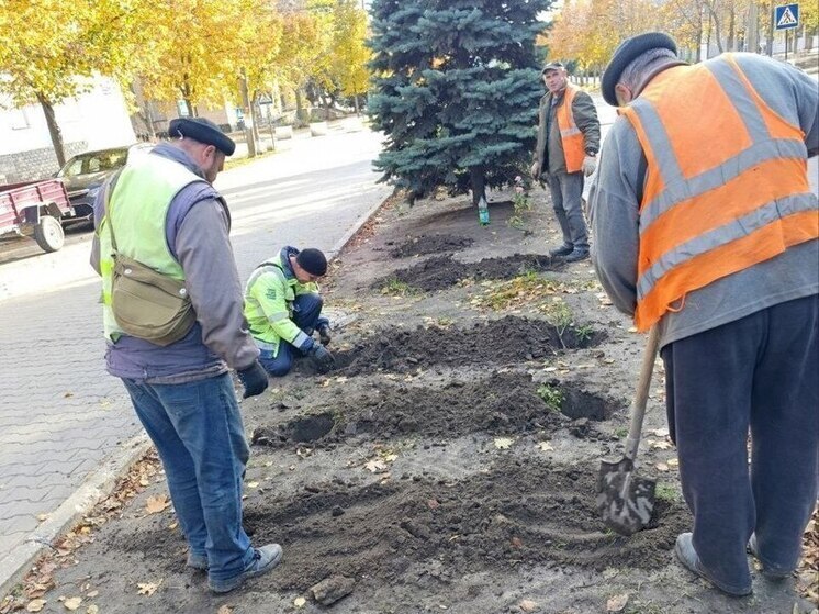 Главную улицу Токмака украсили розами — символом города