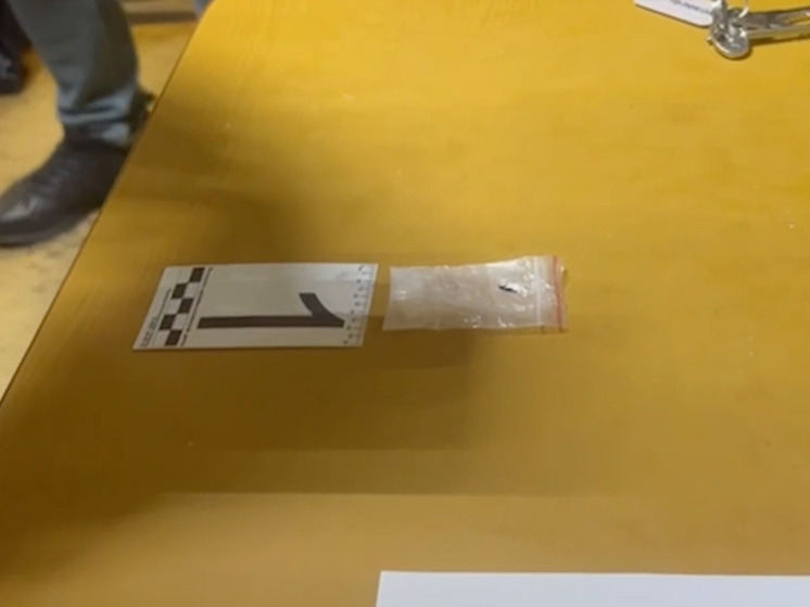 Мурманчанин пытался провезти синтетические наркотики через КПП