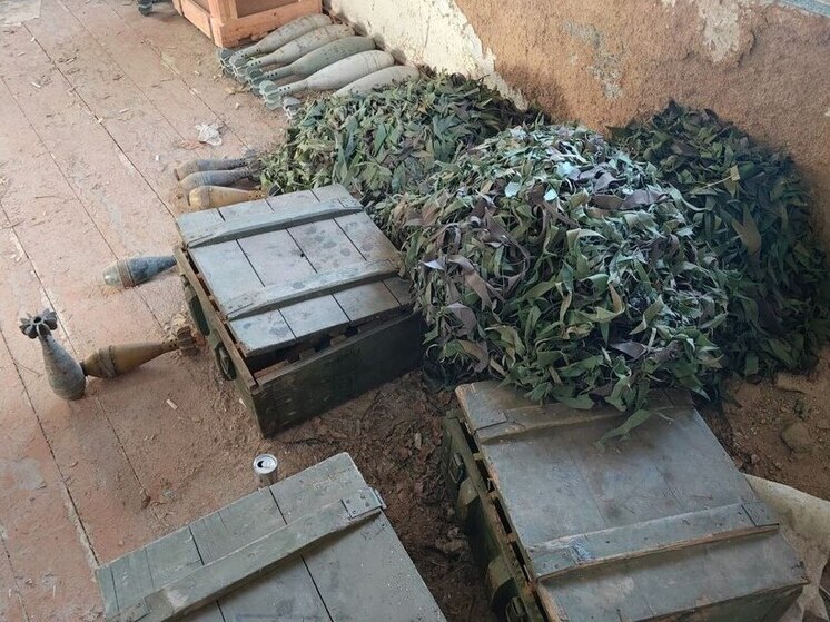 В Запорожской области найден крупный схрон боеприпасов