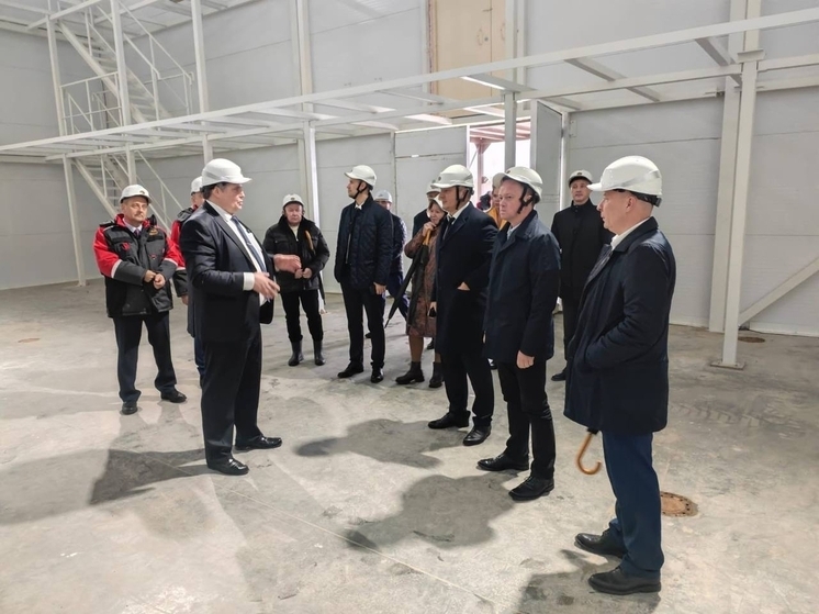 Новый корпус «Роскара» подключат к электро- и газовым сетям с ускорением на год