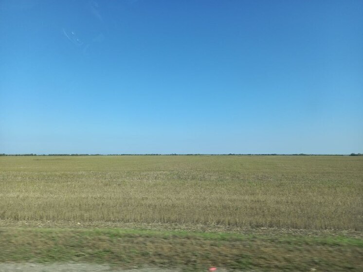 Саратовская область отправила на экспорт 440 тысяч тонн зерна