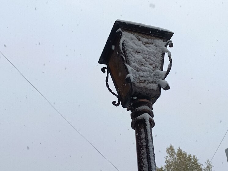 Снег и похолодание прогнозируют в Алтайском крае на длинных выходных в ноябре