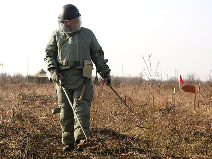 Калининградские сапёры отработали навыки взрывного дела на полигонах