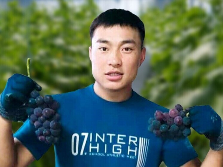 В монгольской Гоби начали выращивать виноград