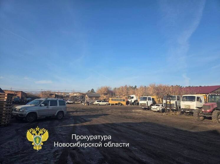 Сотрудник «Рослесинфорга» арестован по делу о взятках за покровительство лесозаготовителям