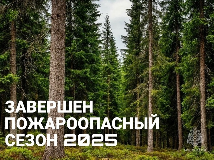 В Курской области пожароопасный сезон прошел без лесных пожаров