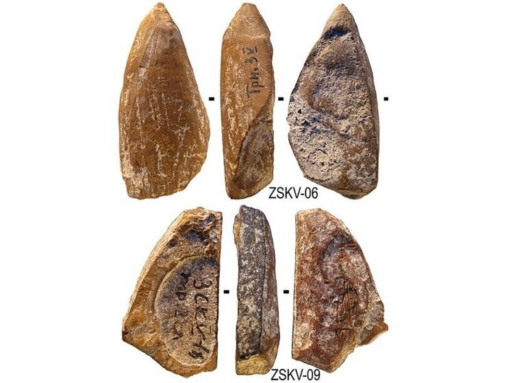 Стало известно, что неандертальцы научились рисовать задолго до сапиенсов