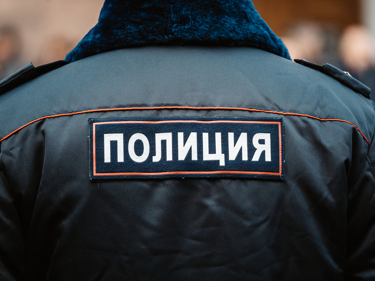 В Тверской области мужчина напал на женщину, ударил по лицу и стащил ее сумку