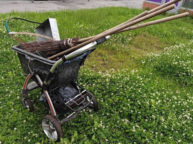 В Демянском округе управляющая компания брала деньги за уборку, но не убирала