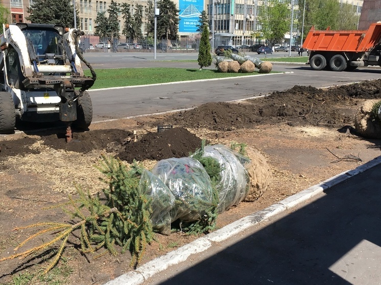 Вандалы украли в Саратове от памятника Ленину 15 кустарников