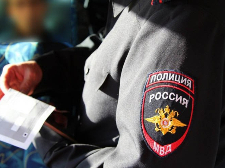 После рейда в Тульской области выдворят более 80 нелегальных мигрантов