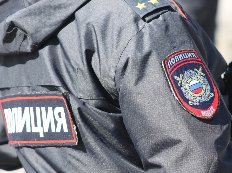 В Тульской области пропавшая 10-летняя девочка найдена живой