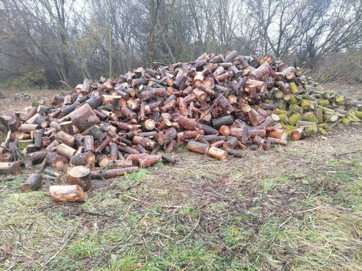 В Грайворонском округе заготавливают дрова для жителей с печами
