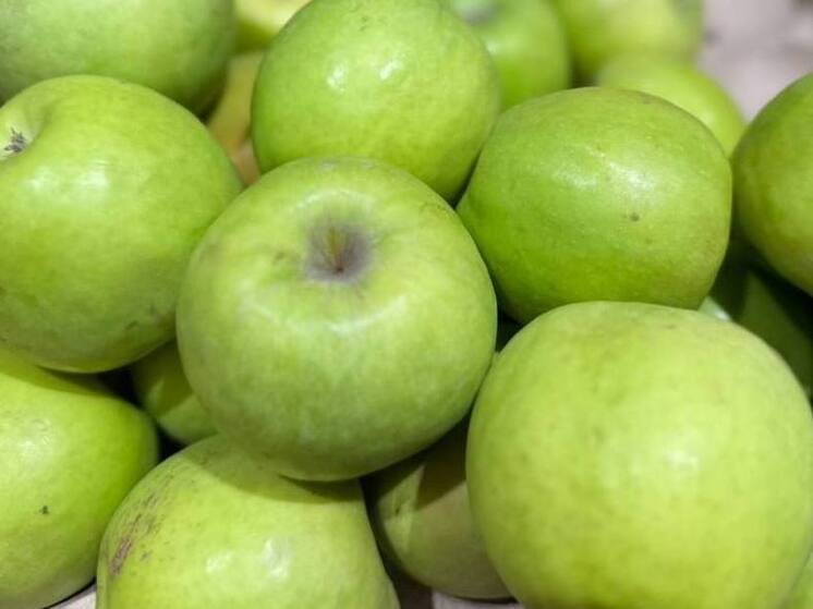 Ученые разработали рекомендации по улучшению питания школьников Ставрополья