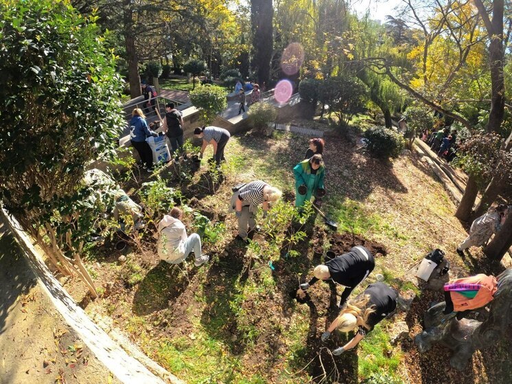 В Ялте высадили более тысячи деревьев и кустарников