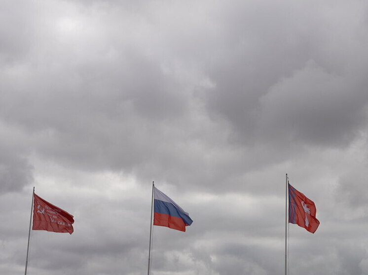 Молодые специалисты из Волгоградской области пройдут «Сталинградскую закалку»