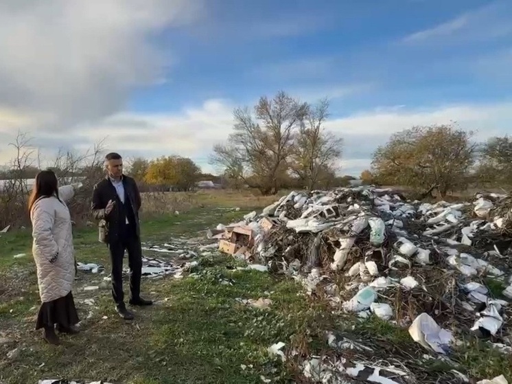 В Кочубеевском округе требуют убрать несанкционированную свалку в станице Барсуковской