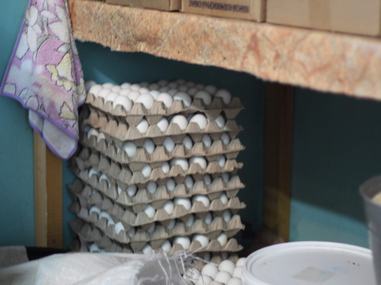 В яйцах из омских магазинов нашли антибиотики