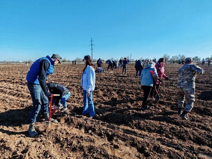 В Крыму более 30 тысяч человек приняли участие в субботнике