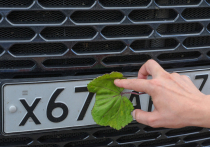 Каждый автовладелец в России имеет возможность заменить государственный регистрационный знак (ГРЗ) на своей машине на другой, не дожидаясь стандартных юридических причин для такого шага