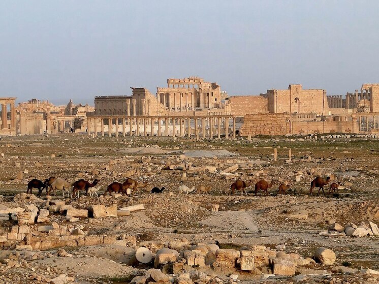 Восстановление Пальмиры в Сирии займет до 7 лет и потребует крупных инвестиций