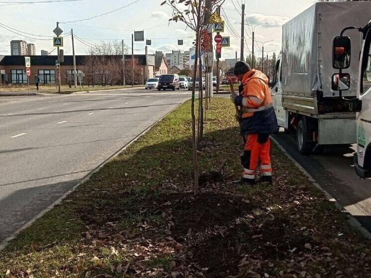 В Курске высадили более 1600 деревьев и кустарников взамен погибших