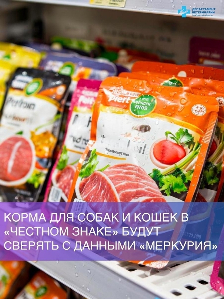 С 1 ноября контроль в Тамбове ужесточается: маркировка кормов для животных станет строже