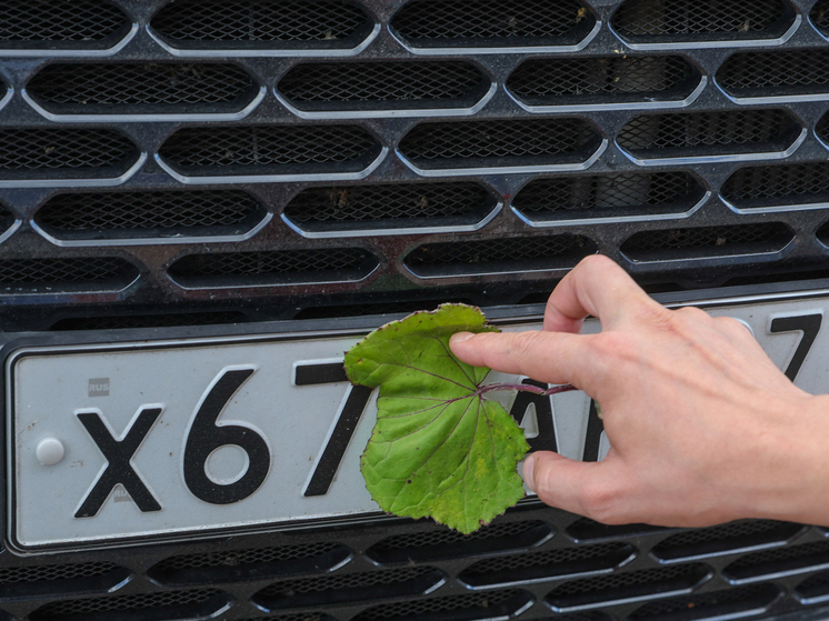 Каждый автовладелец в России имеет возможность заменить государственный регистрационный знак (ГРЗ) на своей машине на другой, не дожидаясь стандартных юридических причин для такого шага