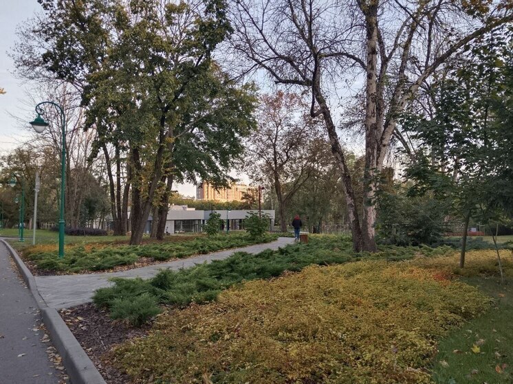 Воскресенье в Белгородской области пройдет без существенных осадков