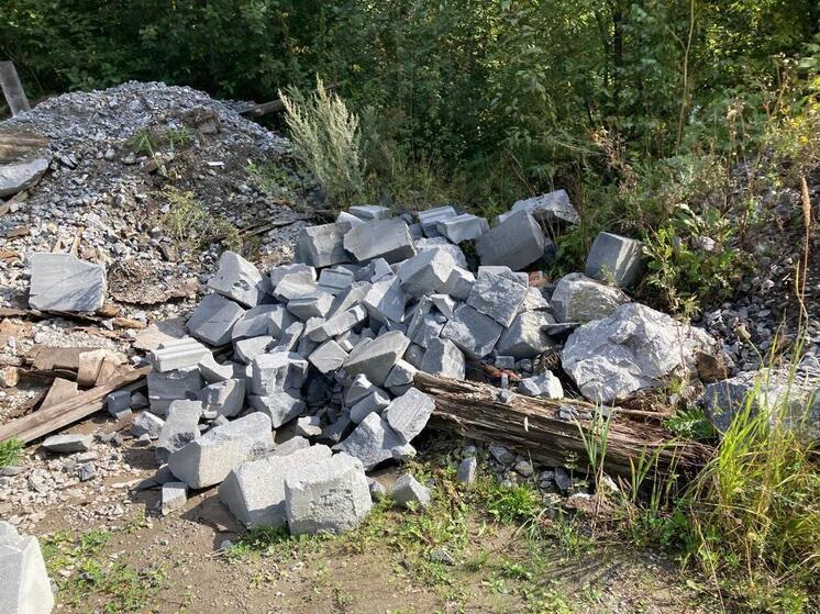 Жители Нижнего Тагила говорят об ухудшении в последние годы ситуации с несанкционированным складированием твердых отходов