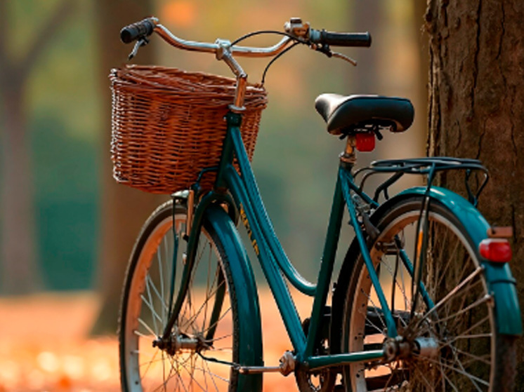 В брянском селе Добрунь поймали вора велосипеда