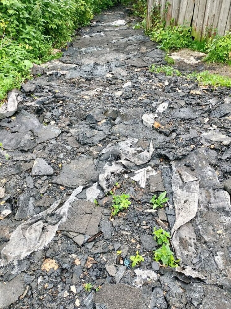 Суд обязал администрацию Дедовичей убрать незаконную свалку