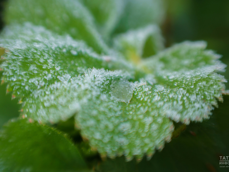 Мокрый снег и похолодание обещают татарстанцам в выходные